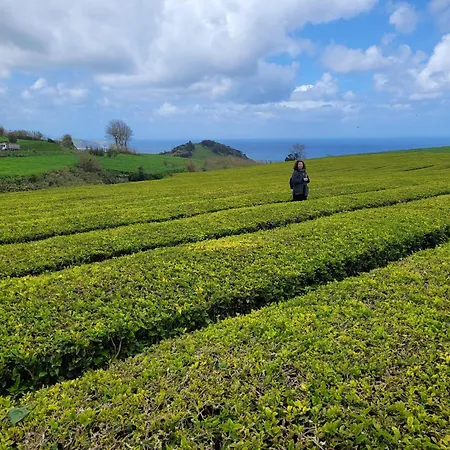 Ferienhaus Casa Azorinas