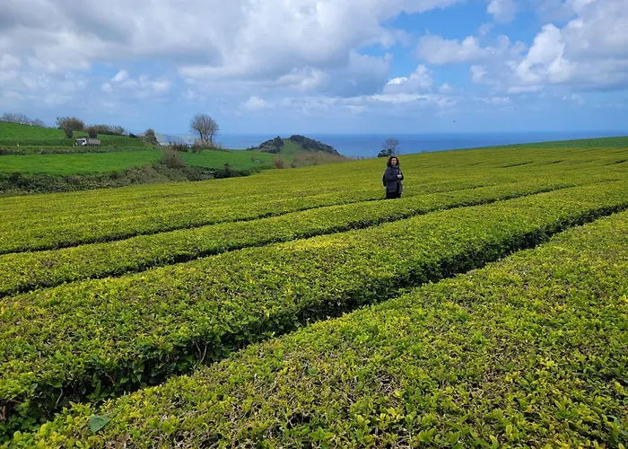 Ferienhaus Casa Azorinas
