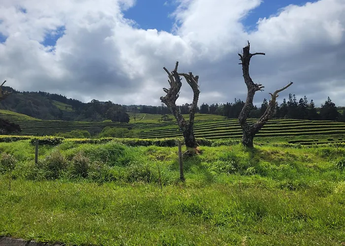 Prázdninový dům Casa Azorinas Fenais da Luz