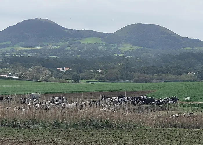 Casa Azorinas Fenais da Luz